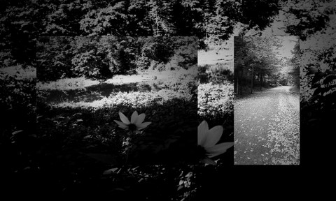 iphone photos '10 & '115