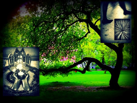 iphone photos '10 & '1111