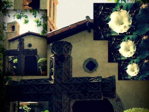 National Parks Trip '10