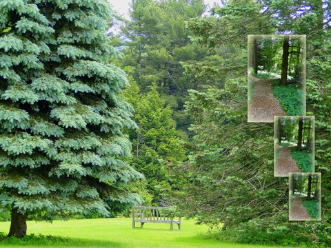 Kripalu YTT '12 Scenic11