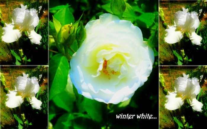 1-Pics for Blog Edits8