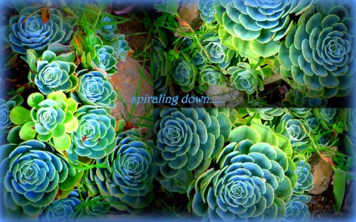 1-Pics for Blog Edits9