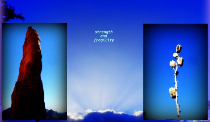 3-Pics for Blog Edits3