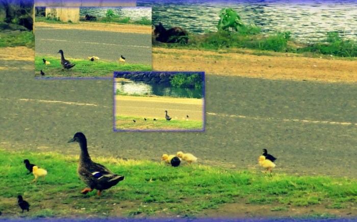 Pics for Blog Edits1