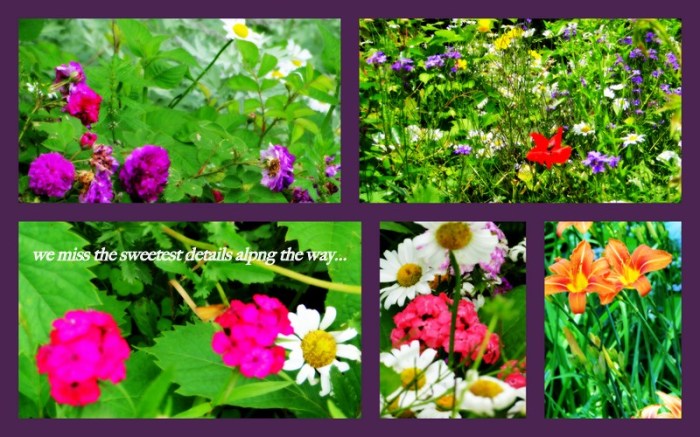 1-Pics for Blog Edits16