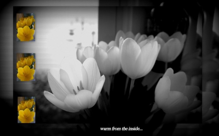 1-Pics for Blog Edits19