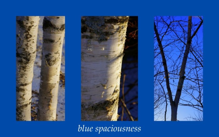 4-Pics for Blog Edits31