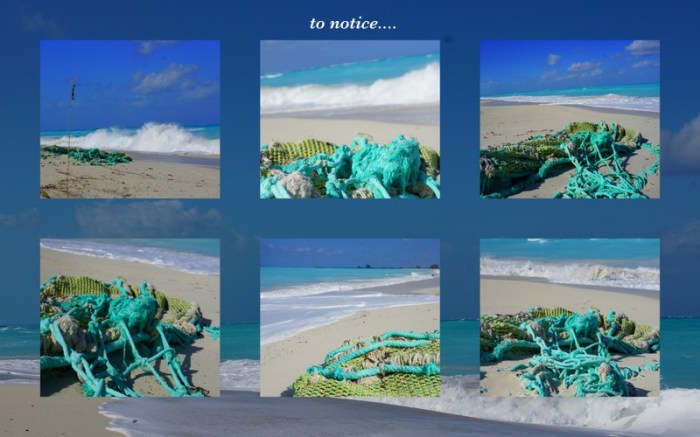 1-Pics for Blog Edits44