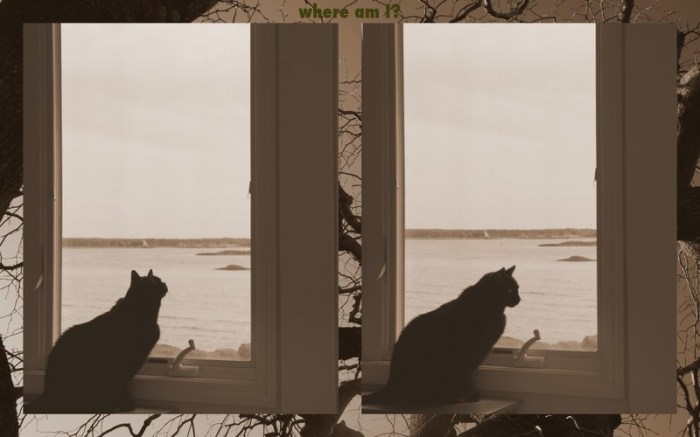 1-Pics for Blog Edits46