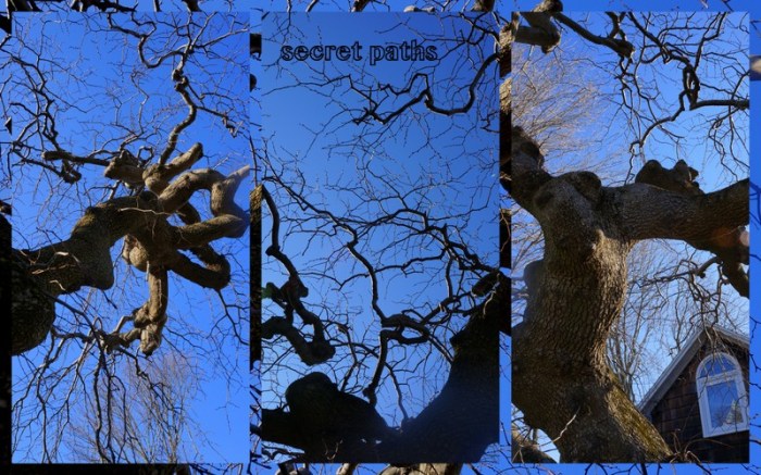 1-Pics for Blog Edits47