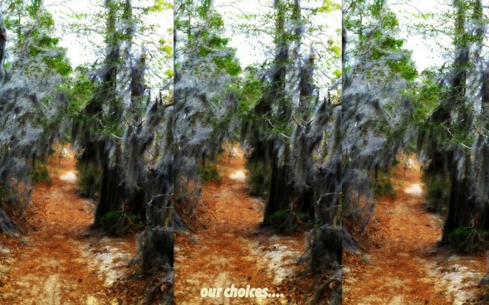 1-Pics for Blog Edits50