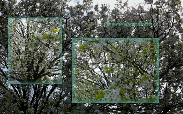 1-Pics for Blog Edits52