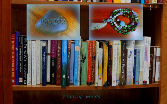 1-Pics for Blog Edits53