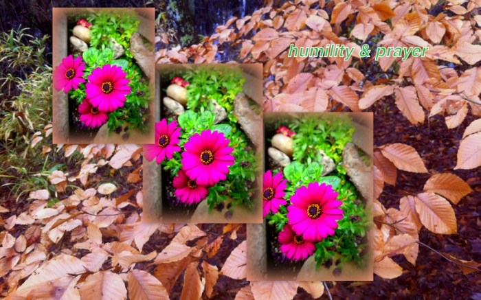 1-Pics for Blog Edits54