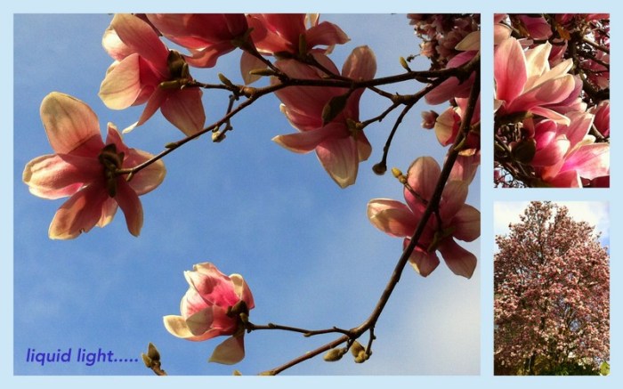 1-Pics for Blog Edits61