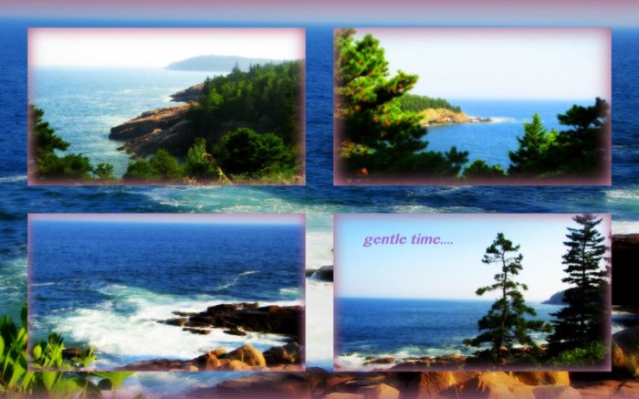 1-Pics for Blog Edits65