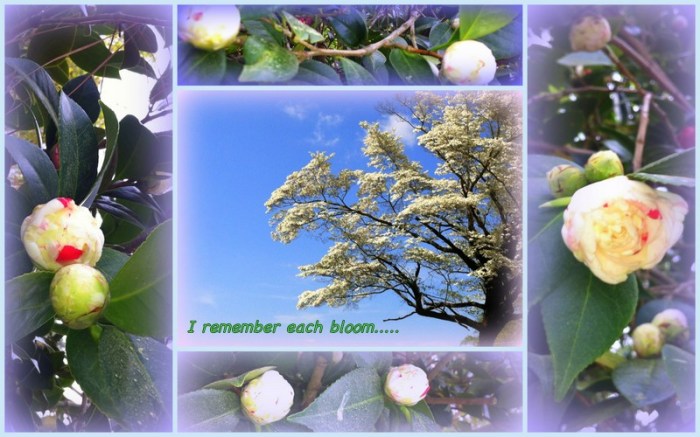 5-Pics for Blog Edits63