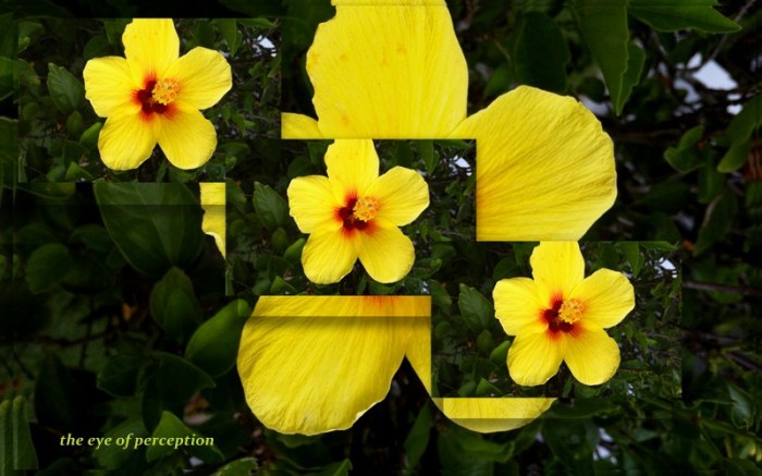 1-Pics for Blog Edits66