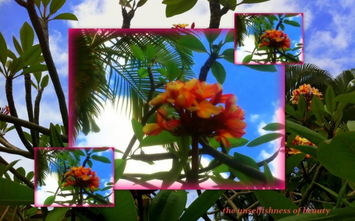 1-Pics for Blog Edits67