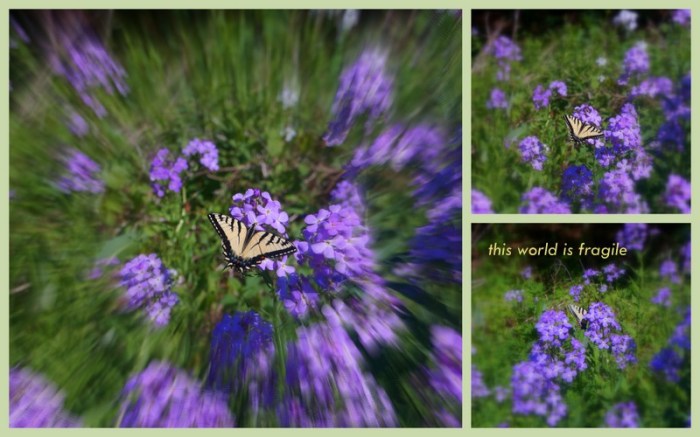 1-Pics for Blog Edits73