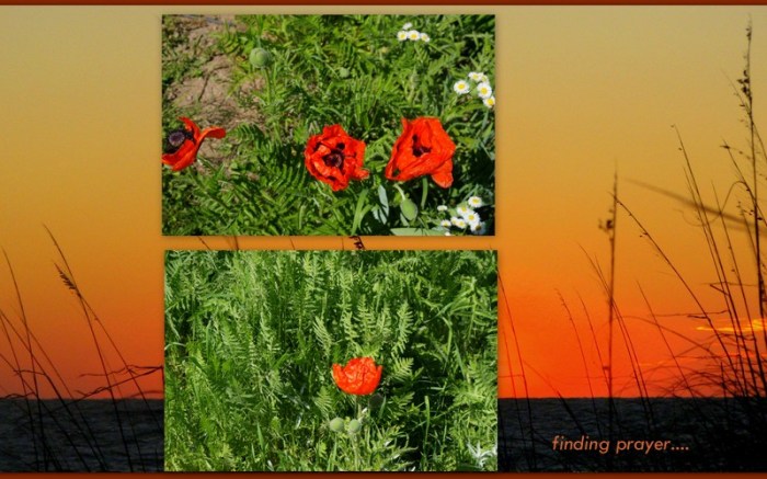 1-Pics for Blog Edits74