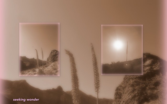 1-Pics for Blog Edits81