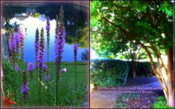 1-Pics for Blog Edits84