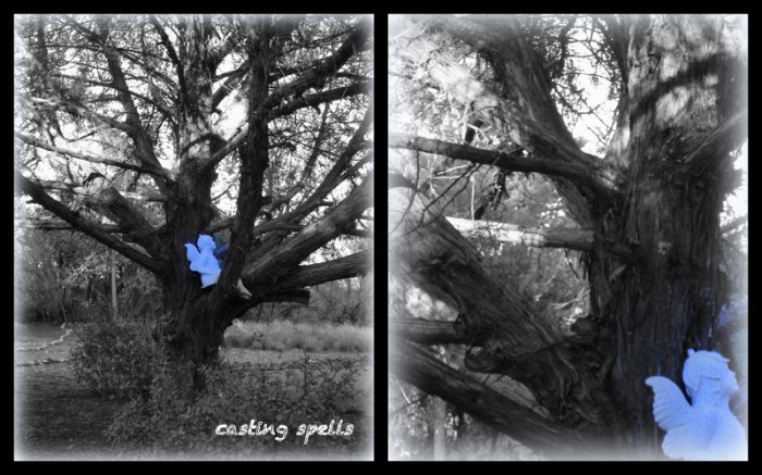 1-Pics for Blog Edits86