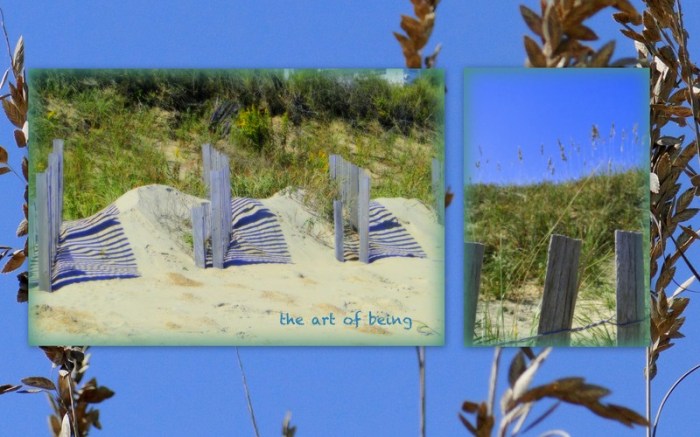 1-Pics for Blog Edits87