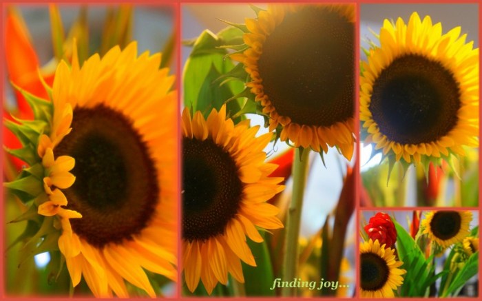 1-Pics for Blog Edits89