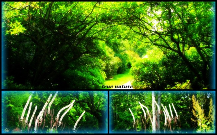 4-Pics for Blog Edits85