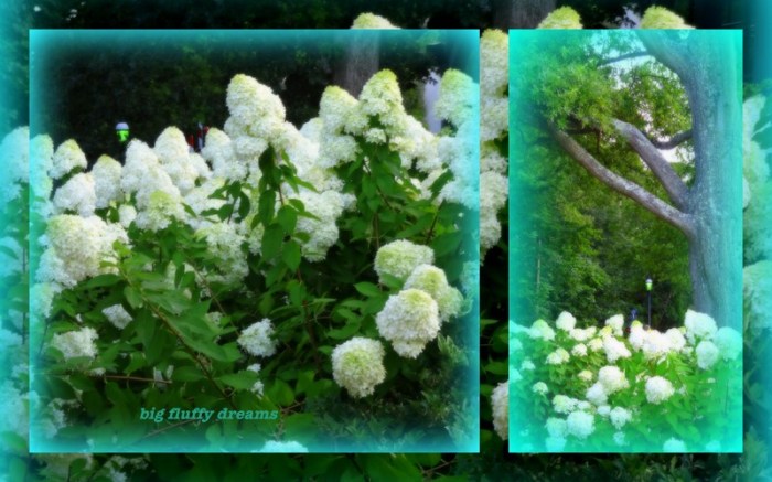 1-Pics for Blog Edits100