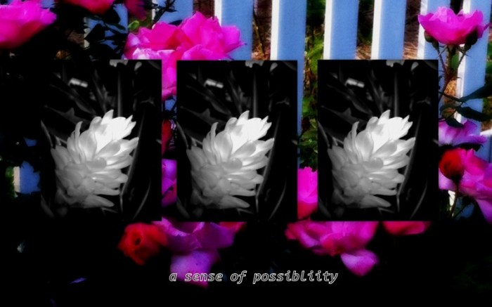 1-Pics for Blog Edits3