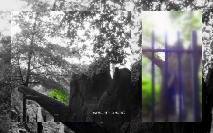 3-Pics for Blog Edits101