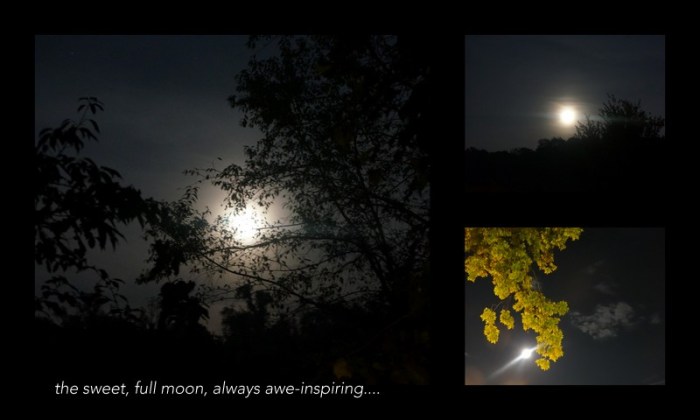 1-Pics for Blog Edits28