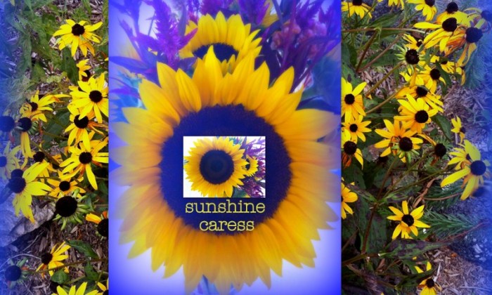 1-Pics for Blog Edits30