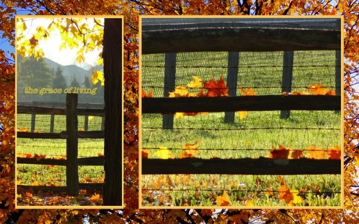 1-Pics for Blog Edits42