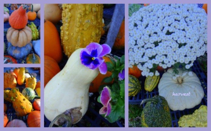 1-Pics for Blog Edits43