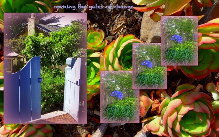 1-Pics for Blog Edits46