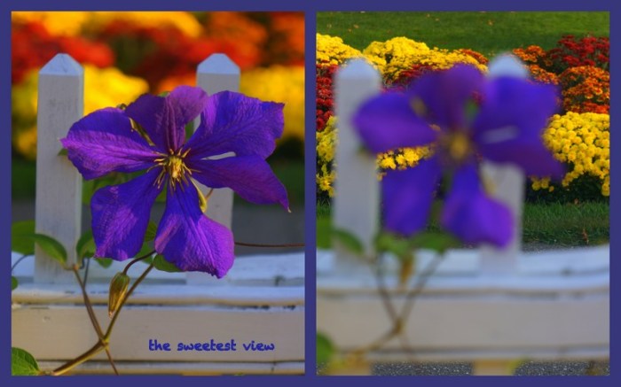 3-Pics for Blog Edits59