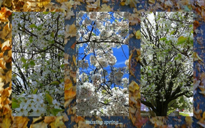 1-Pics for Blog Edits62