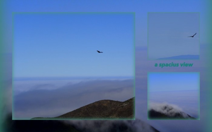 1-Pics for Blog Edits70