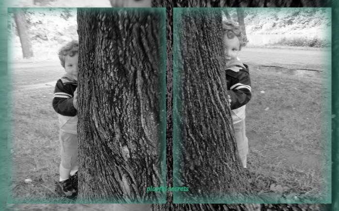 1-Pics for Blog Edits72