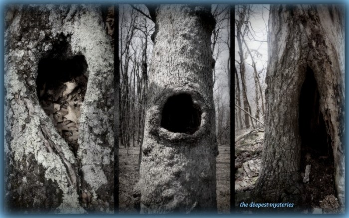 1-Pics for Blog Edits74