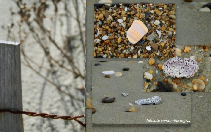 1-Pics for Blog Edits79