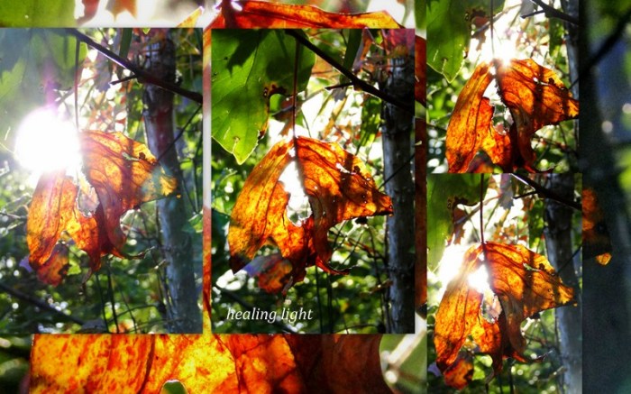 1-Pics for Blog Edits80