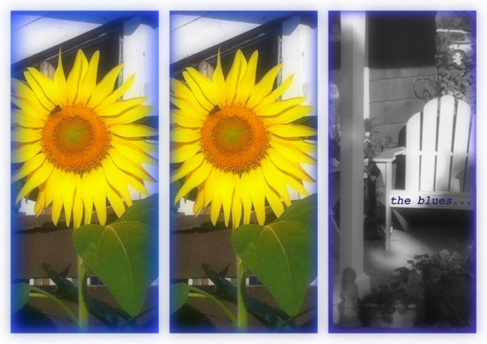 1-Pics for Blog Edits95