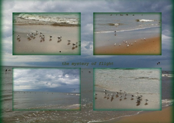 1-Pics for Blog Edits97