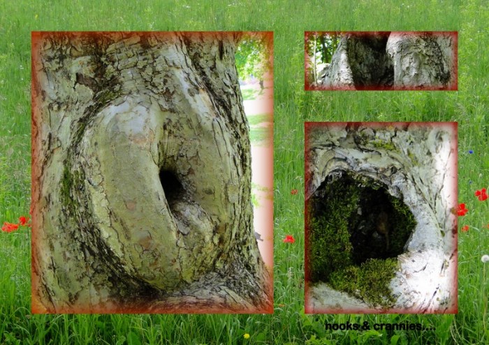 1-Pics for Blog Edits104