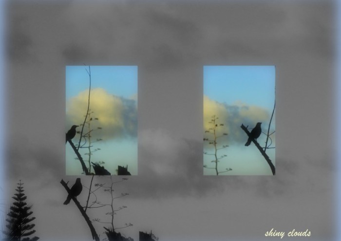 1-Pics for Blog Edits106